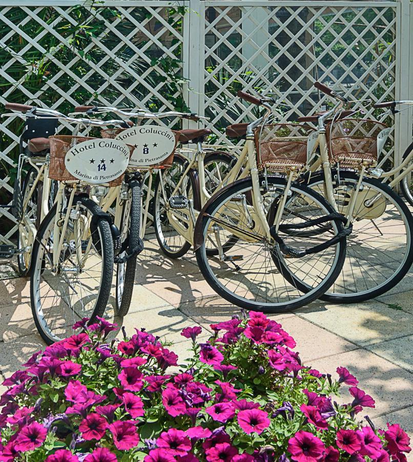 Hotel Coluccini Marina di Pietrasanta Esterno foto